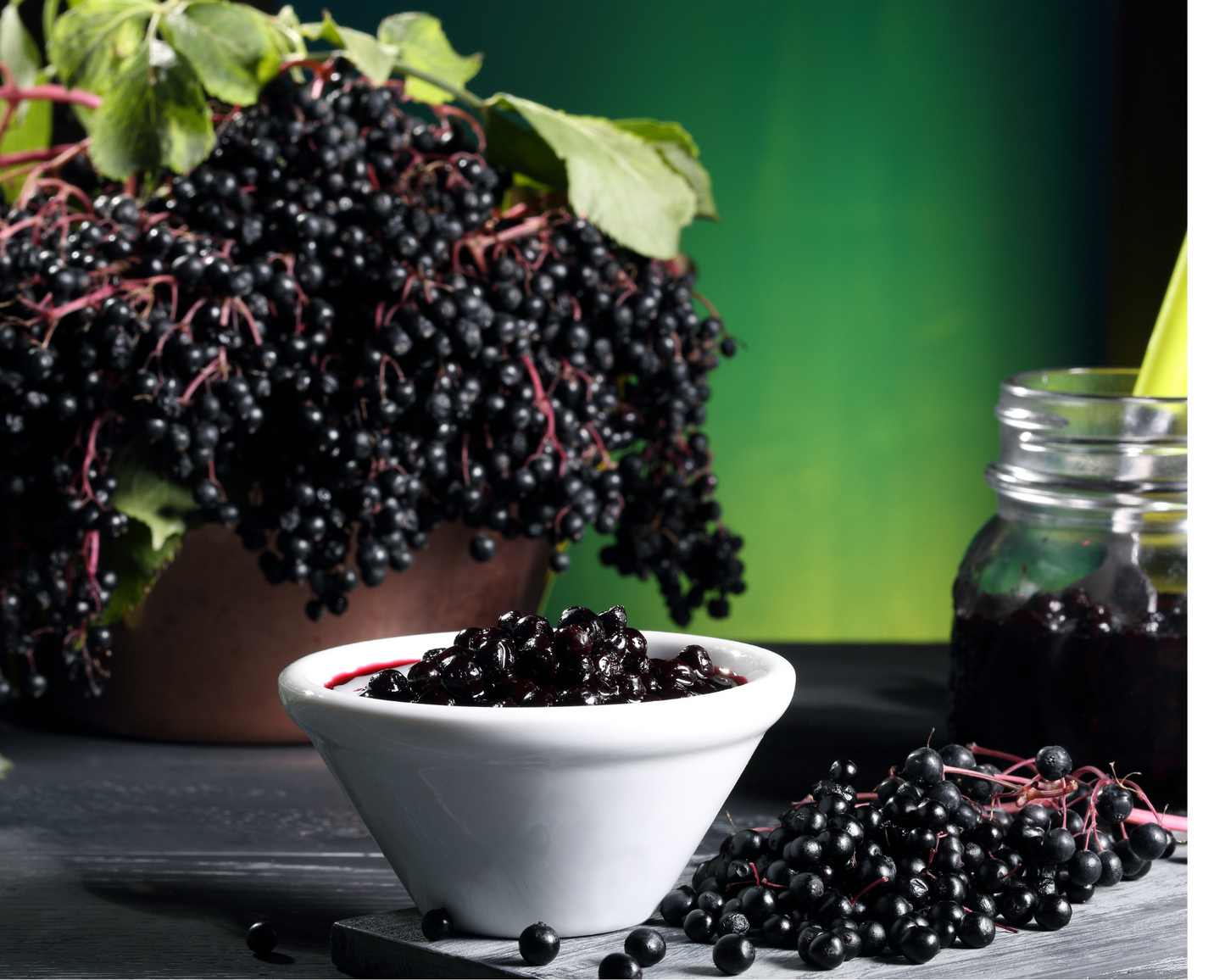 Black elderberries in a white bowl with a jar and plant in the background