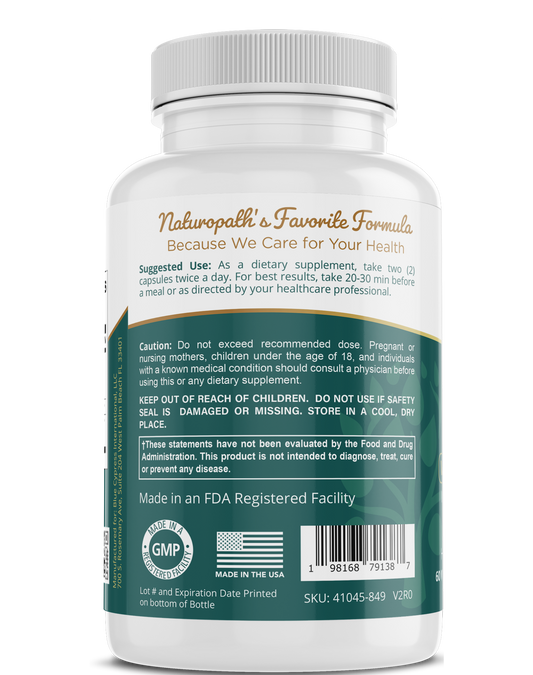 Ginkgo Biloba Supplement – Ancient Wisdom for Brain & Circulation Support