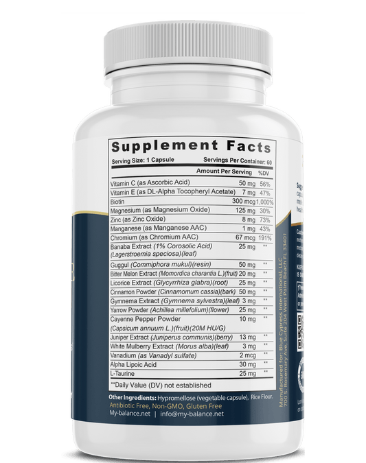 Blood Sugar Control Supplement – Balanced Glucose Support Formula - GISTMI