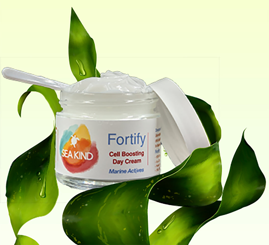 Fortify Cell Boosting Day Cream 2oz | Anti-Aging Moisturizer | GISTMI