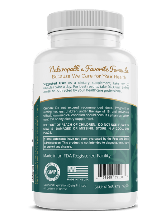 Ginkgo Biloba Supplement β Ancient Wisdom for Brain & Circulation Support - GISTMI