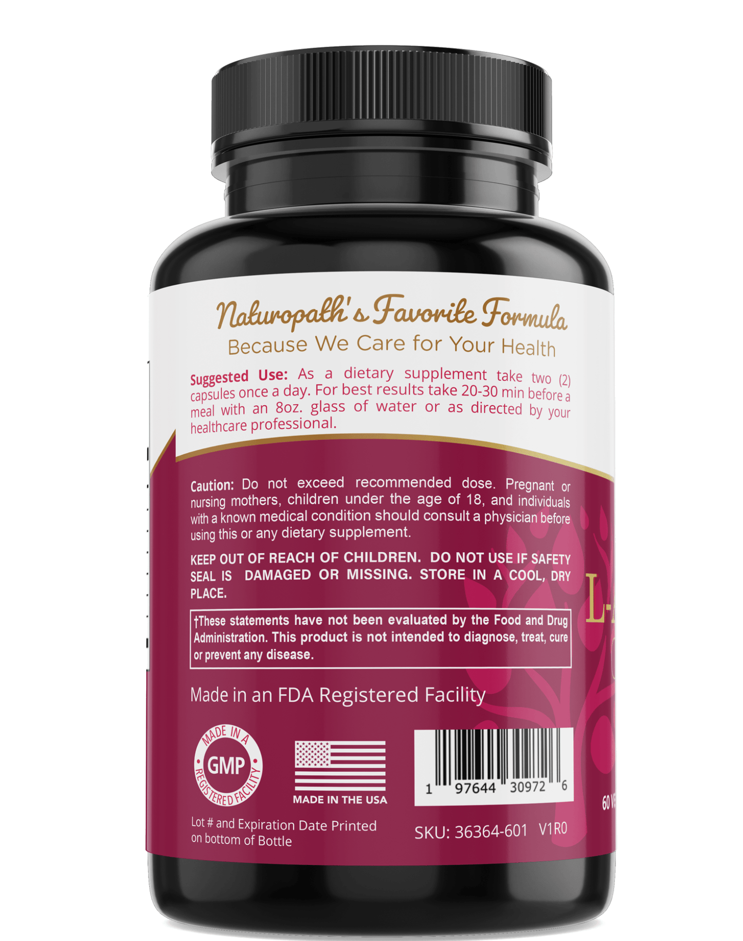 L - Arginine Supplement – Clean Simple Formula for Heart & Performance - GISTMI