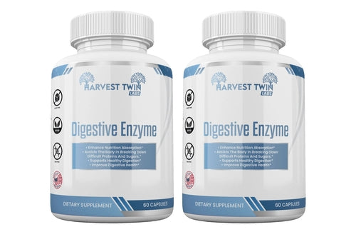 Harvest Twin Digestive Enzyme Supplement | Protein & Meal Digestion Support | GISTMI