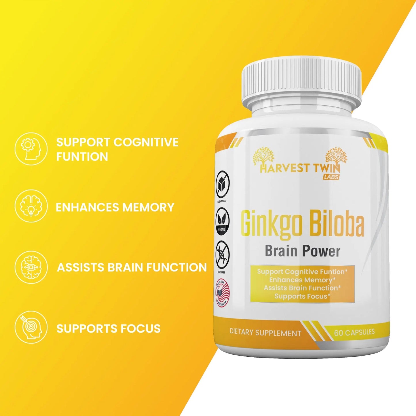 Harvest Time Ginkgo Biloba