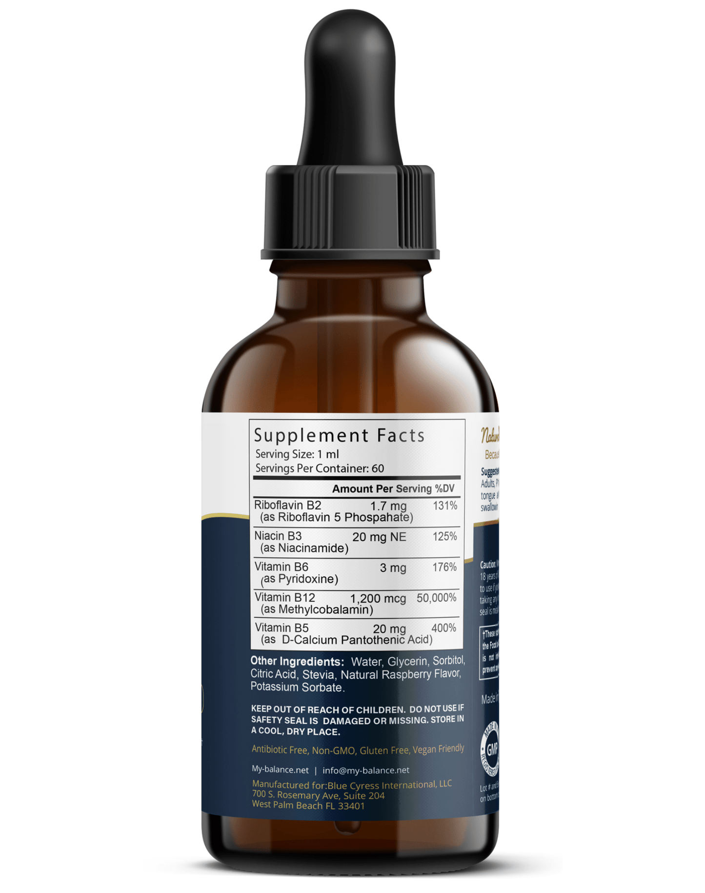 B - 12 Drops Stay Healthy – Liquid Vitamin B12 Energy & Wellness Support - GISTMI