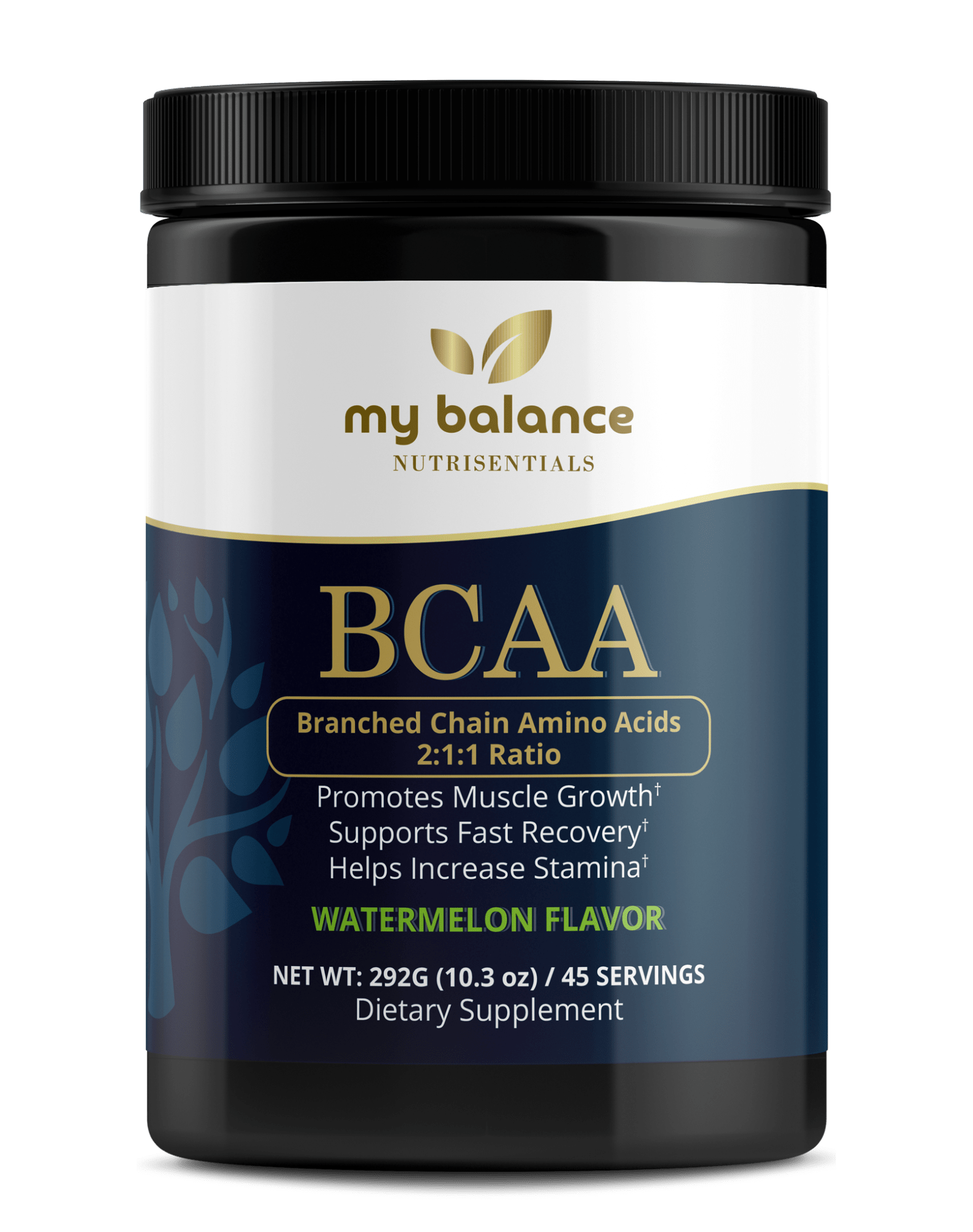 BCAA Branched - Chain Amino Acids Powder – Workout & Muscle Recovery Supplement - GISTMI
