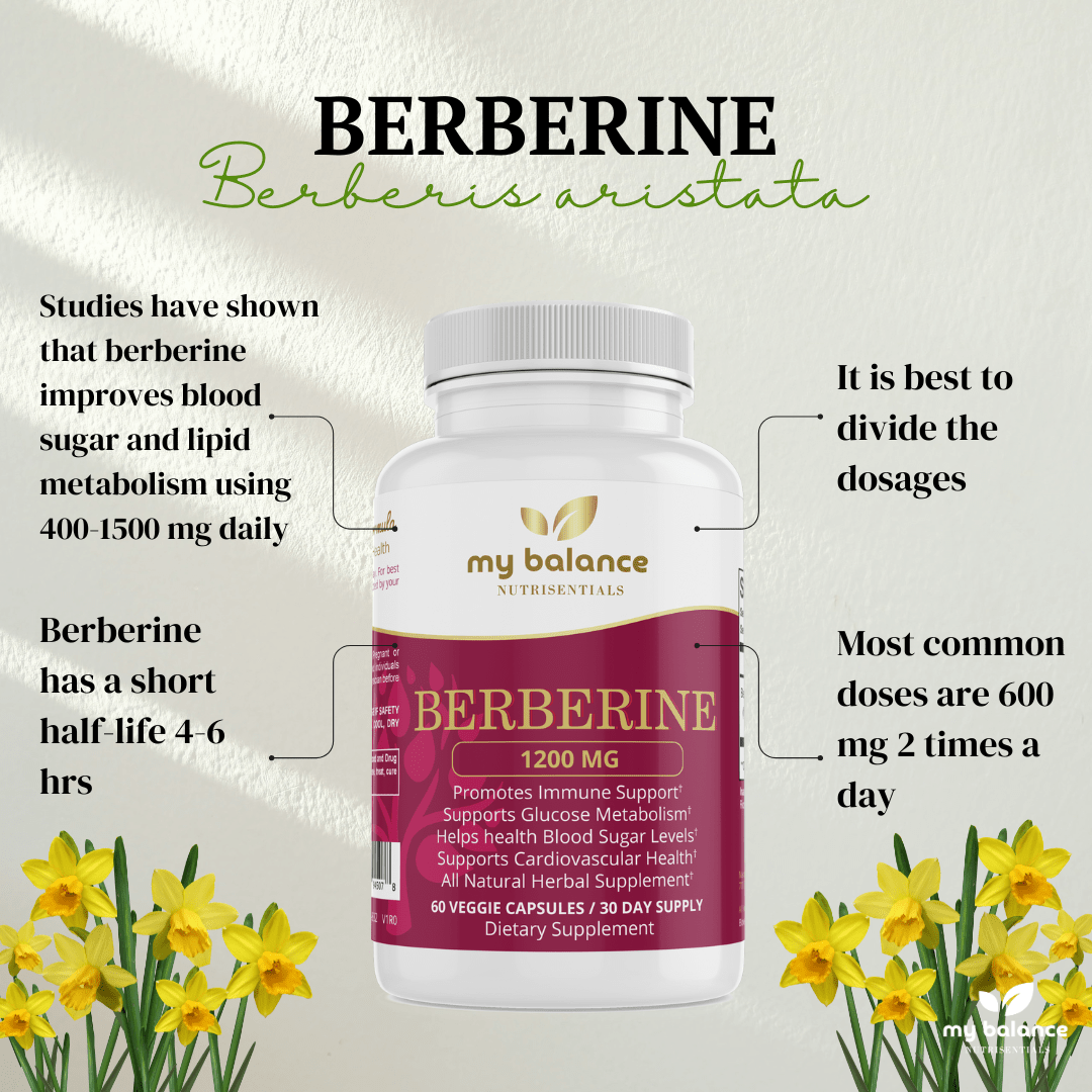 Berberine Supplement – Natural Ayurvedic Health Support - GISTMI