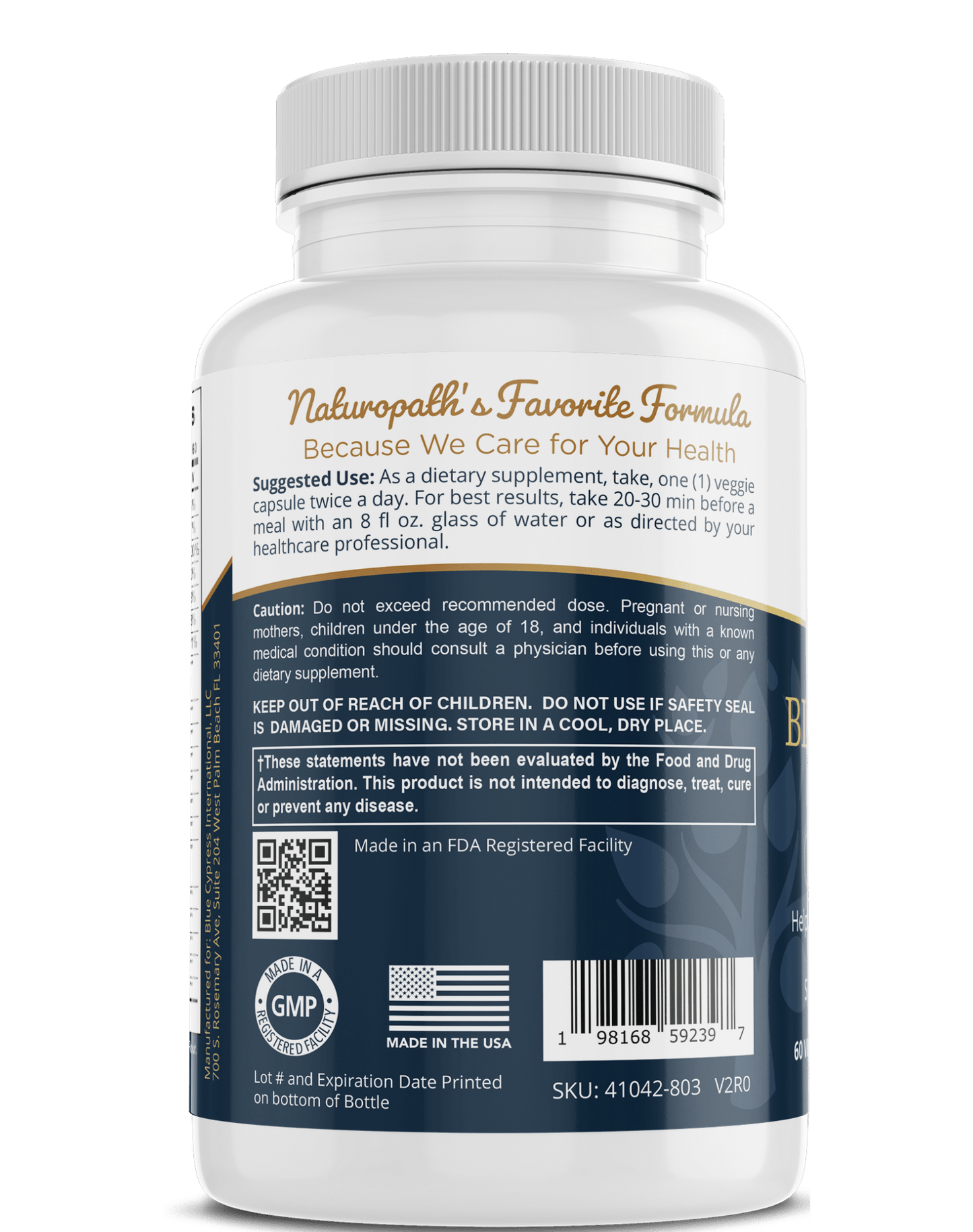 Blood Sugar Control Supplement – Balanced Glucose Support Formula - GISTMI