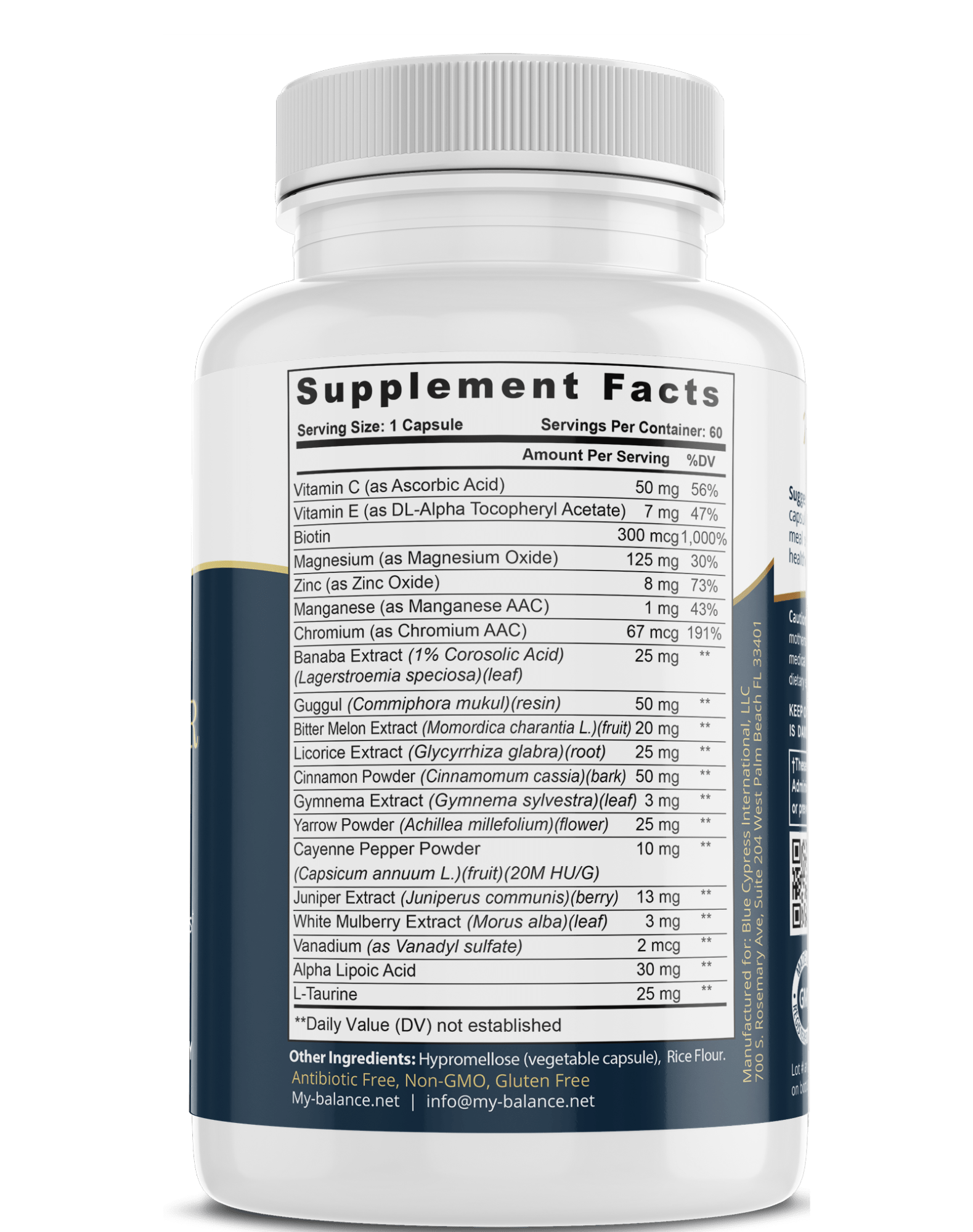Blood Sugar Control Supplement – Balanced Glucose Support Formula - GISTMI