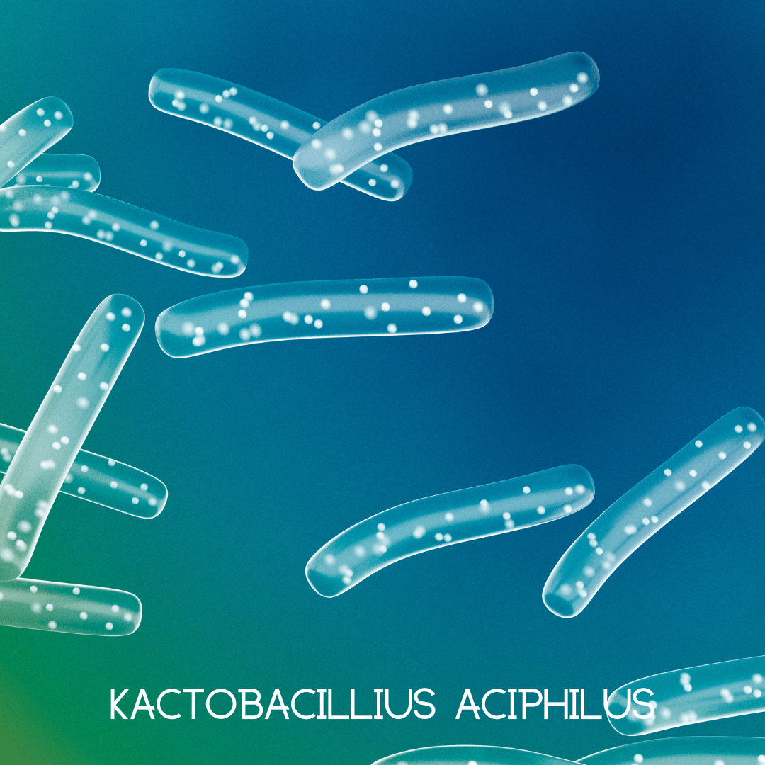 Emergency Immune Support – Daily Immune & Wellness Supplement - GISTMI