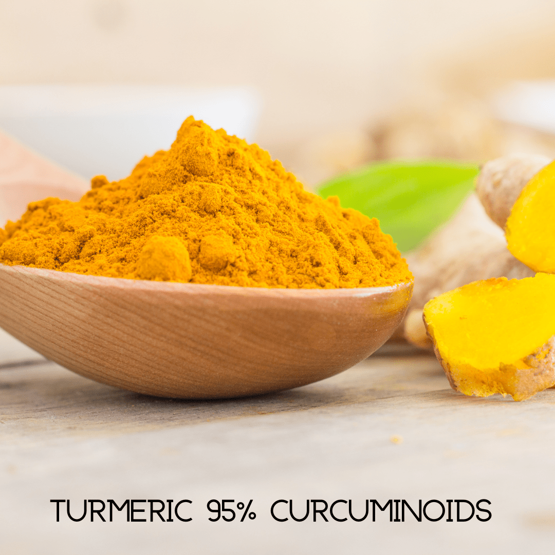 Emergency Immune Support – Daily Immune & Wellness Supplement - GISTMI