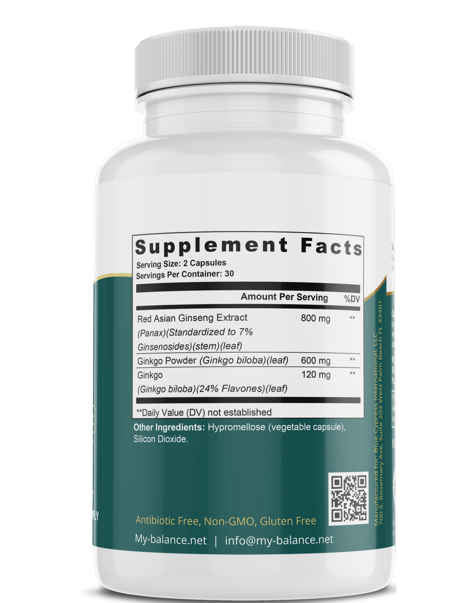 Ginkgo Biloba Supplement – Ancient Wisdom for Brain & Circulation Support - GISTMI