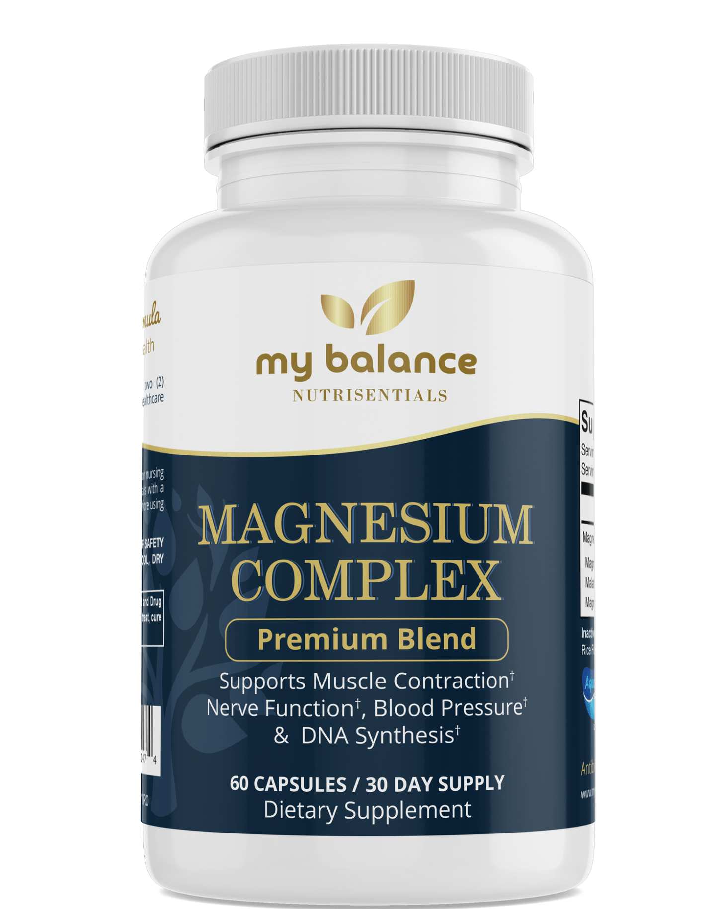 Magnesium Complex – Essential Mineral Supplement for Bones & Recovery - GISTMI
