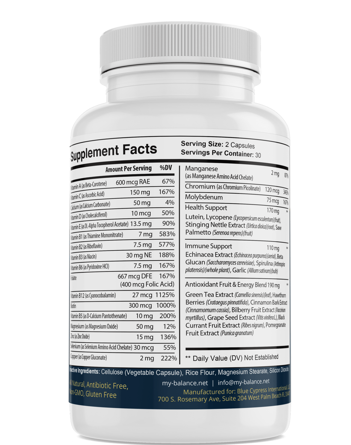 Multivitamins Once Daily – Daily Complete Vitamin & Mineral Supplement - GISTMI