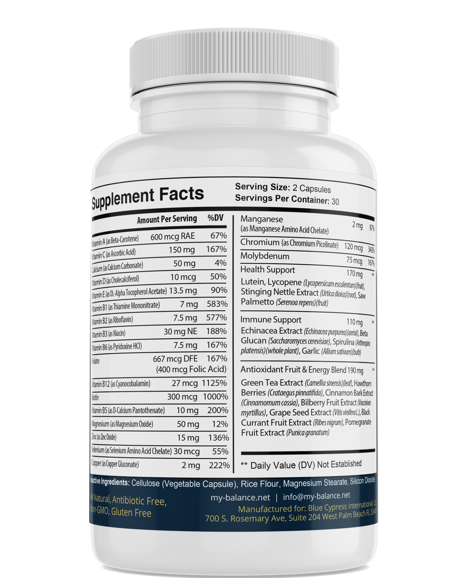 Multivitamins Once Daily – Daily Complete Vitamin & Mineral Supplement - GISTMI