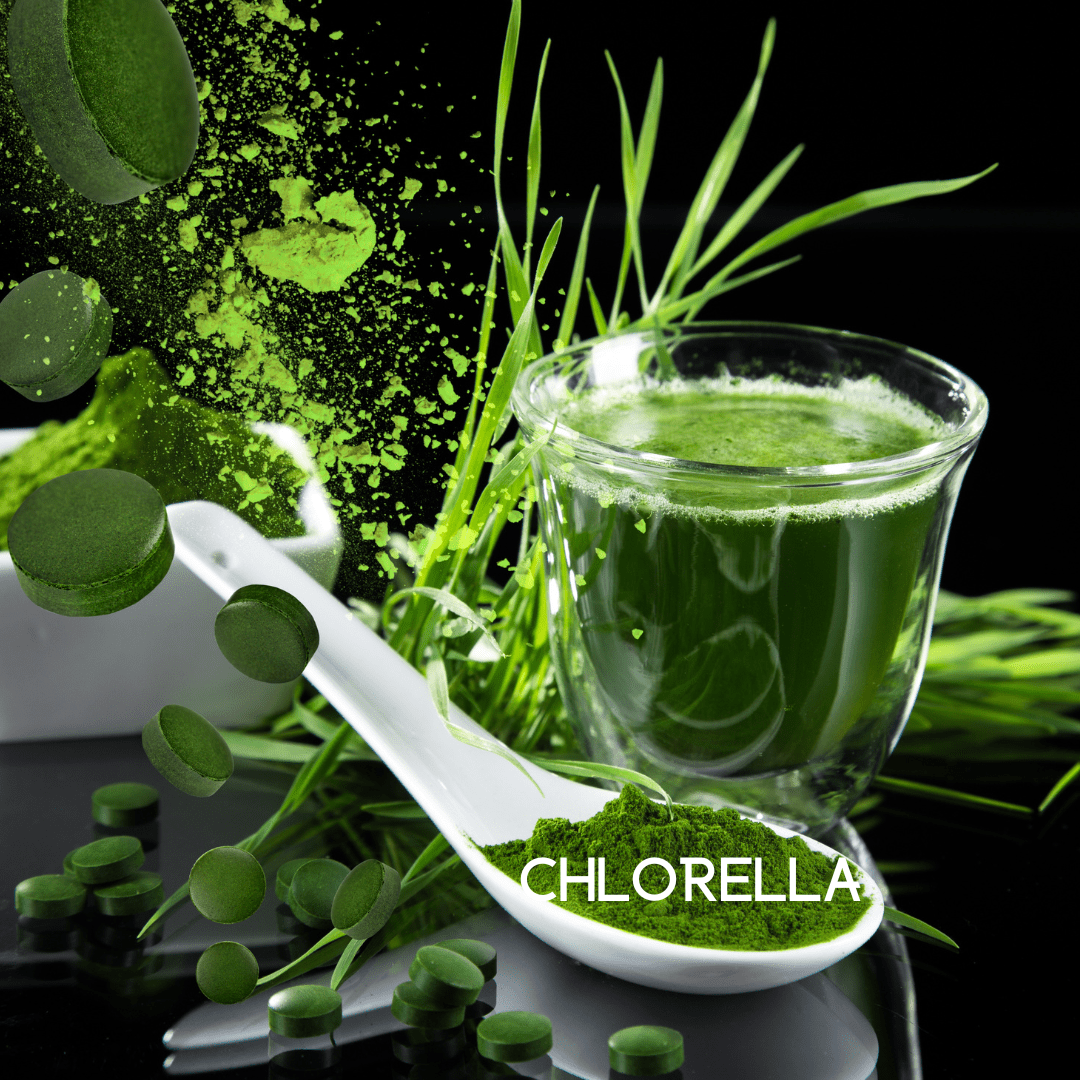 My Balance NutriSentials Colon Cleanse – Digestive Health Support Supplement - GISTMI