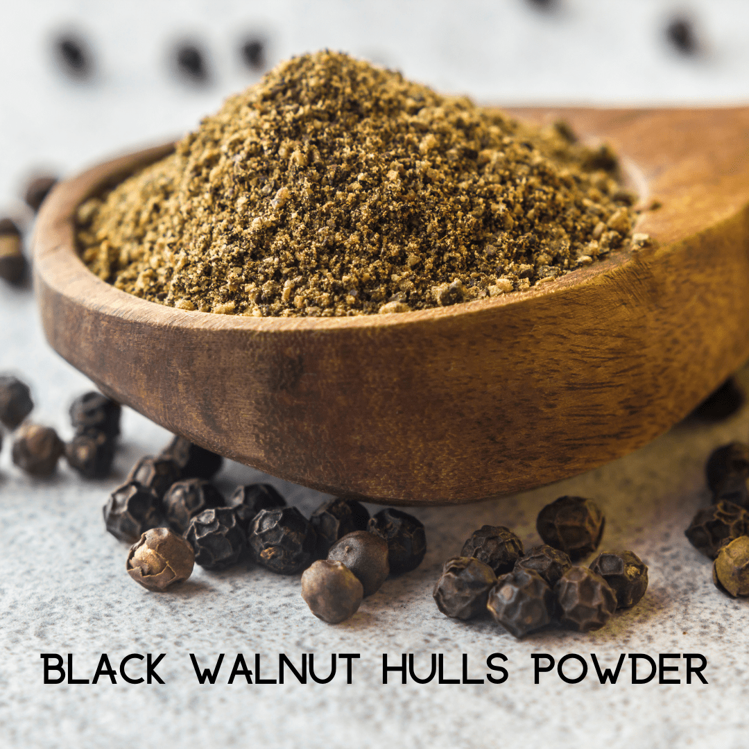 My Balance NutriSentials Colon Cleanse – Digestive Health Support Supplement - GISTMI