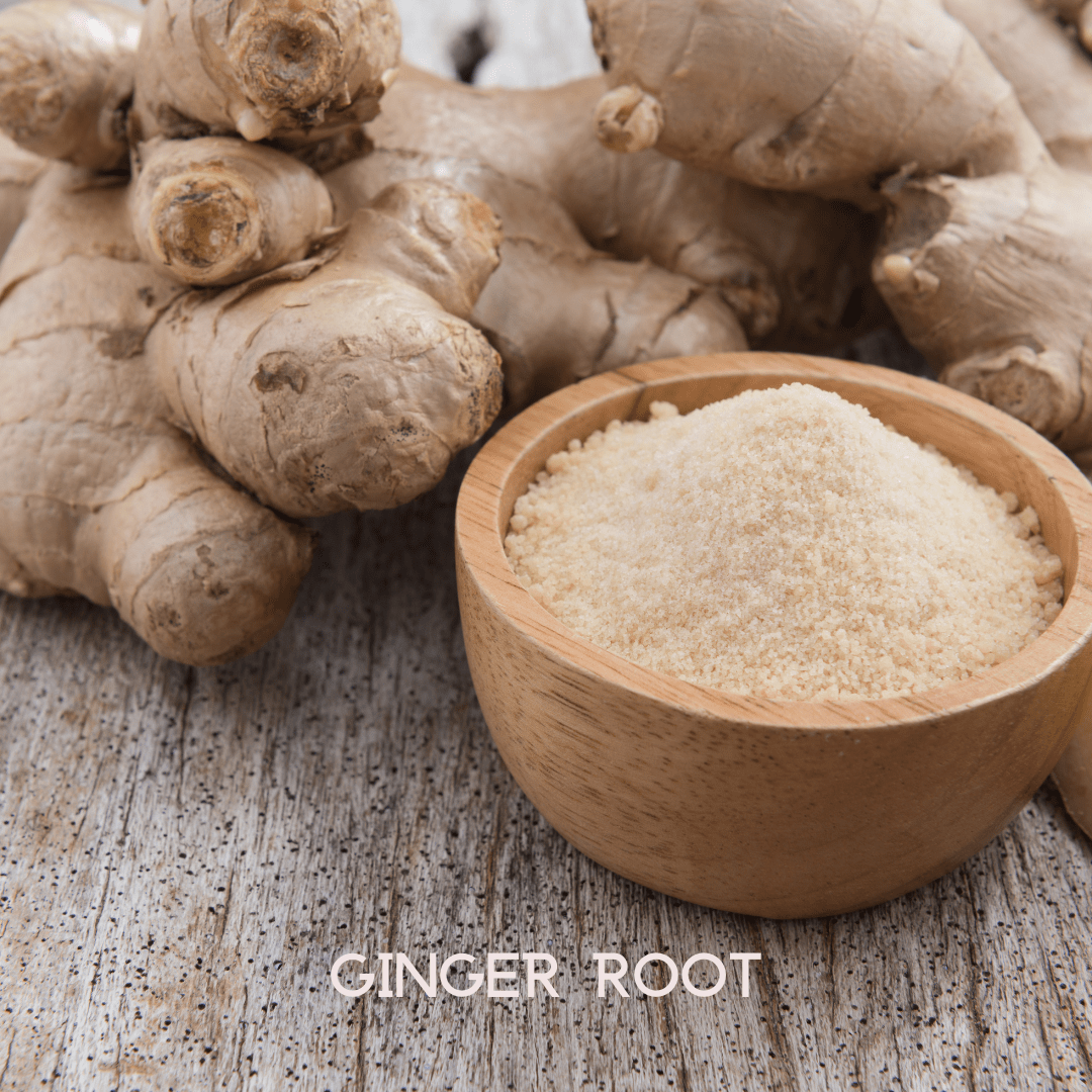 My Balance NutriSentials Colon Cleanse – Digestive Health Support Supplement - GISTMI