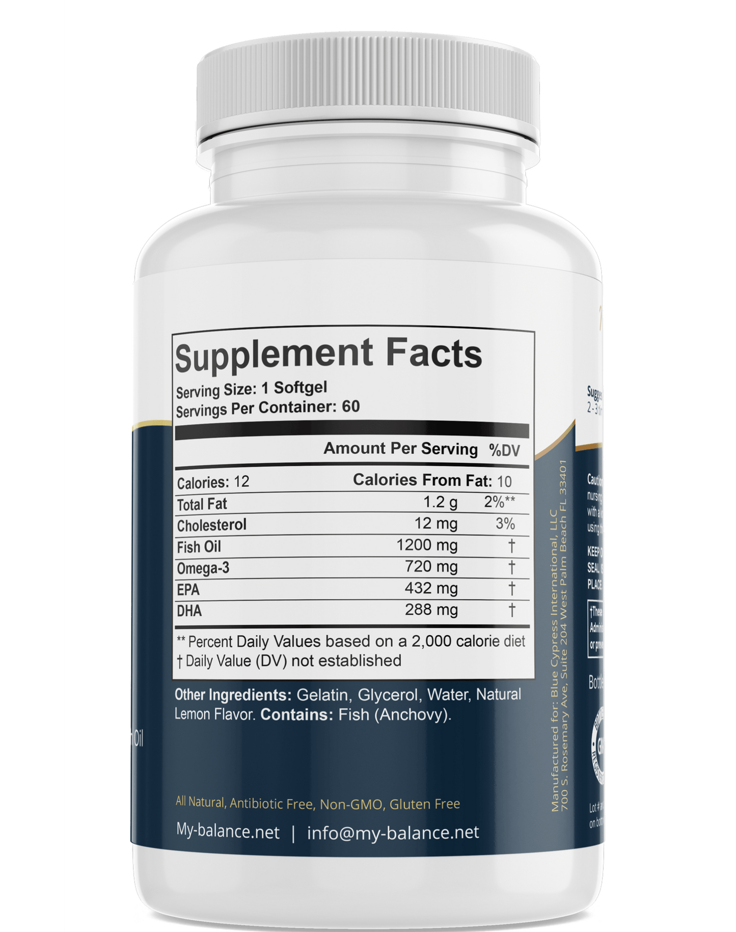 Omega Fish Oil (Omega - 3 Fatty Acids) – Heart, Brain & Joint Support Supplement - GISTMI