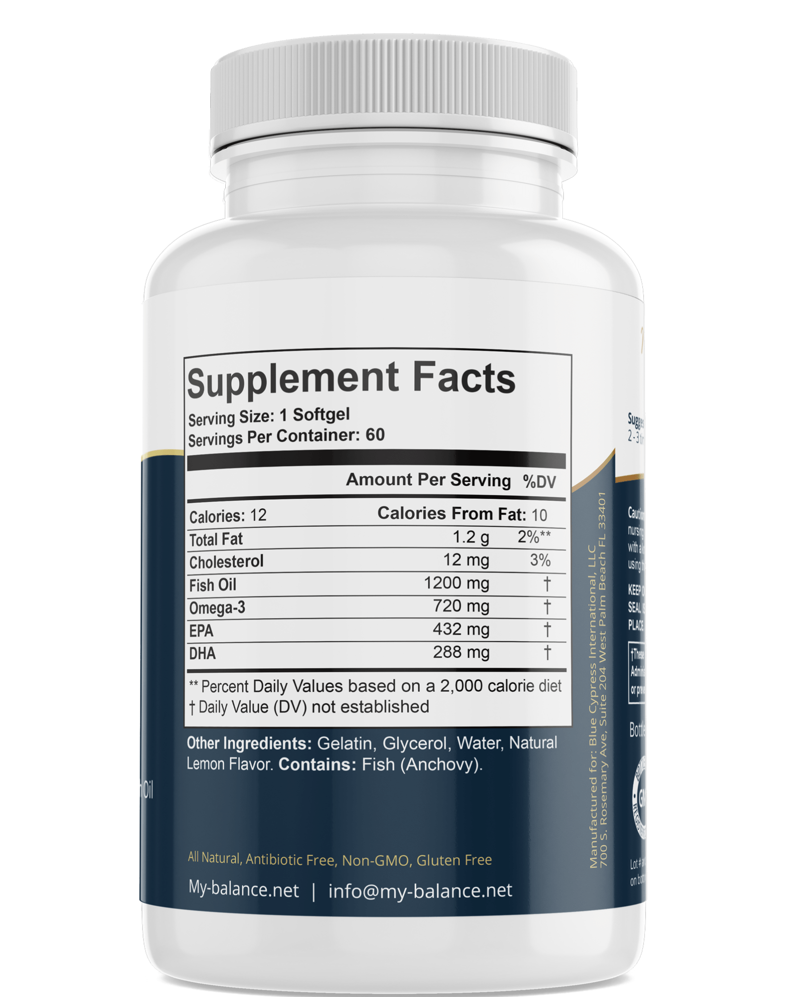 Omega Fish Oil (Omega - 3 Fatty Acids) – Heart, Brain & Joint Support Supplement - GISTMI