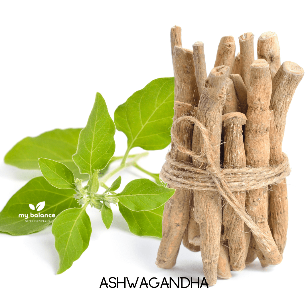 Organic Ashwagandha Supplement – Stress Relief & Wellness Formula - GISTMI
